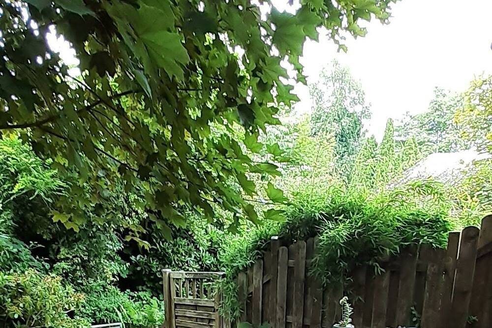 \"Moor&Meer\" Komfort-Fewo mitterrasse , Garten, rollstuhlgerecht, Hund willkommen — Bild 4