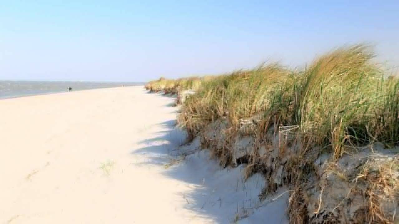 Ferienwohnung für 4 Personen (139 m²) in Wangerland — Bild 2