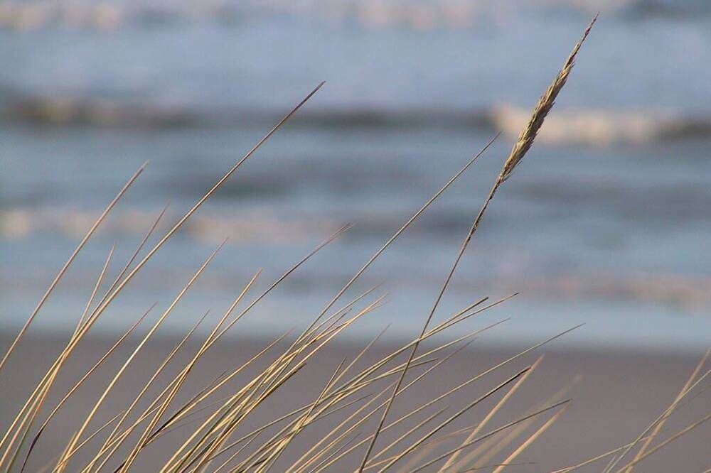 strandnah und familienfreundlich
