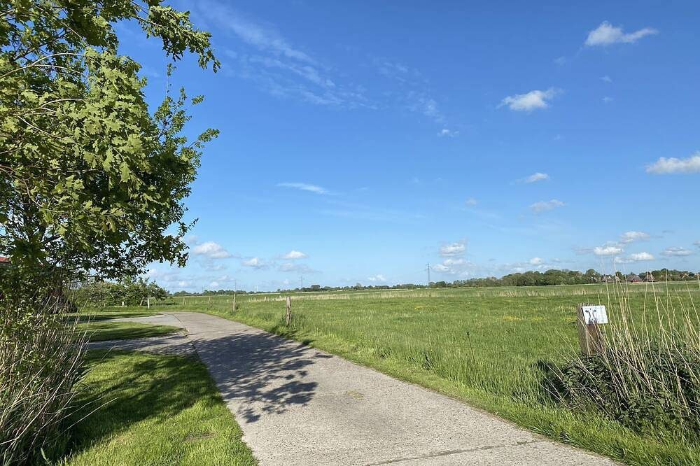 Ferienhaus mit Weid- und Weitblick - in 10 Min. an der Nordsee — Bild 5