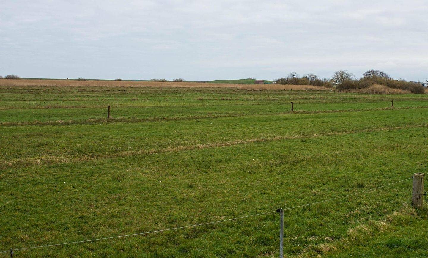 Großzügige Fewo am Pirolatal auf Langeoog in unberührter Natur — Bild 2