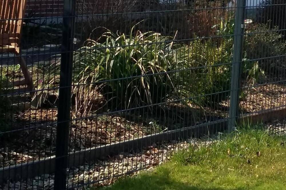 Ruhige, aber zentral gelegene Ferienwohnung mit 2 Schlafräumen und viel Natur!! — Bild 4