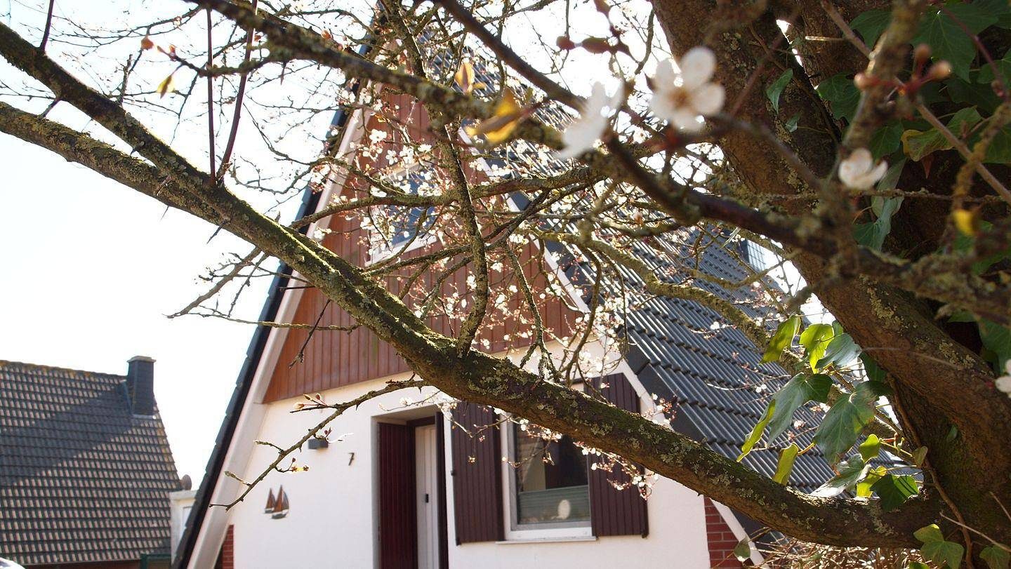 Ferienhaus am Yachthafen